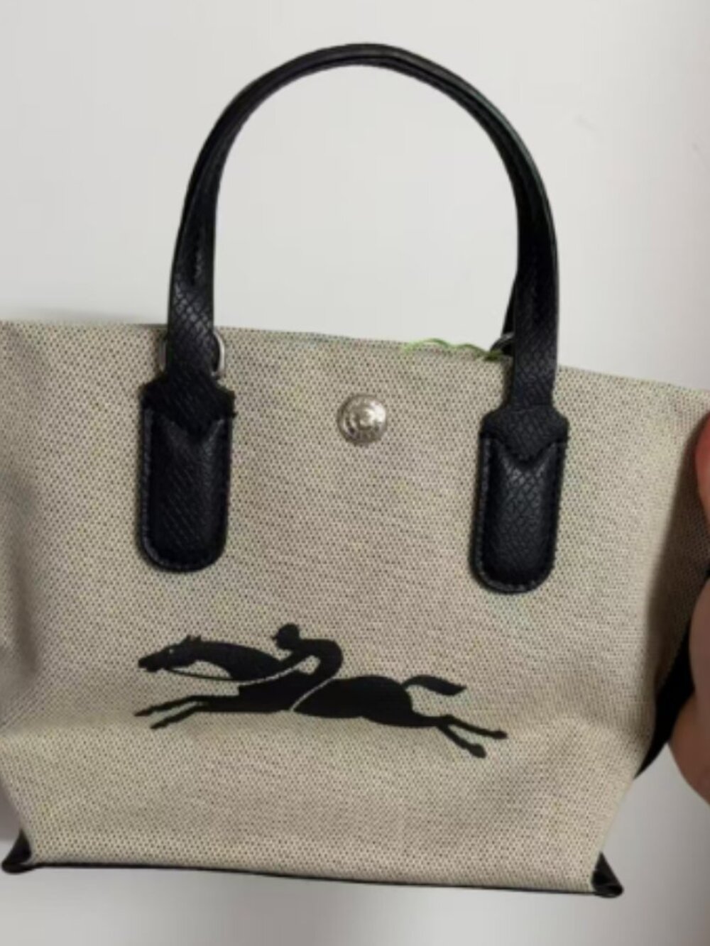 women longchamp bag small